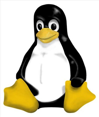 Il Pinguino simbolo di Linux