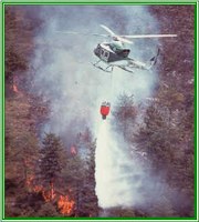 incendio-bosco