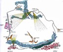 PARCO ARCHEOLOGICO DI CAMPOVALANO