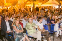 Il pubblico
