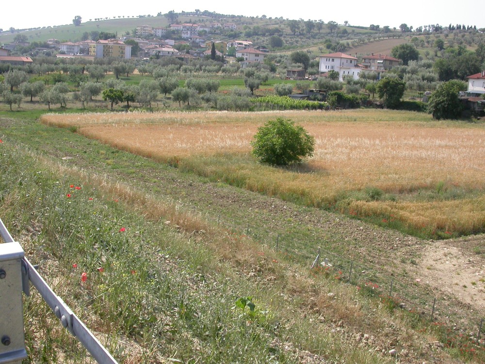 Bellante Stazione