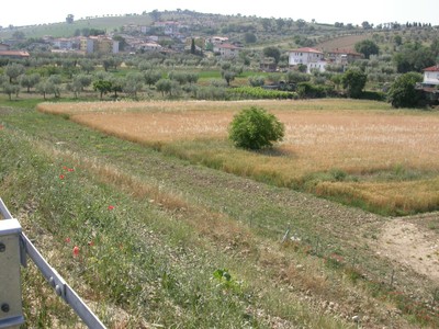 Bellante Stazione