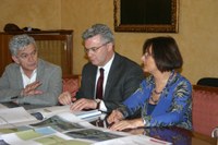 Di Sabatino, Pepe, Casini