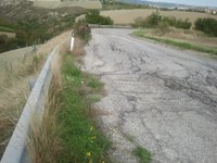 Le foto delle provinciali