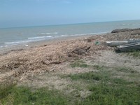 Foce del Vomano