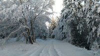 emergenza neve abruzzo