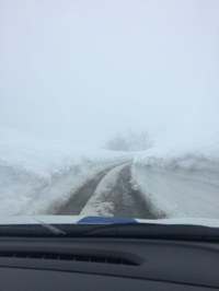 365