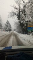 interventi della polizia provinciale
