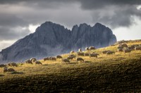 Sensazioni d'Abruzzo. alexspeca