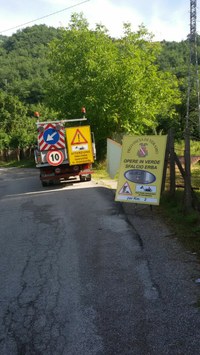 sfalcioerba2.jpg