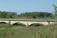 ponte di silvi
